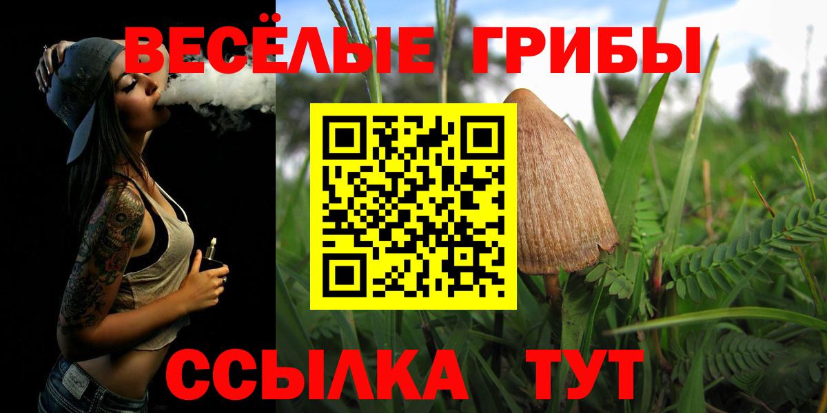 Галлюциногенные грибы прущие грибы  Вход с VPN  Знаменск 